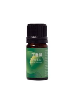丁香葉精油　<br>Leaf Essential Oil